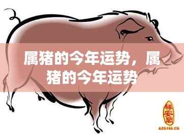 属猪人今年运势详解,事业、财运、爱情全方位解析