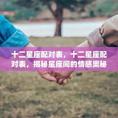 揭秘十二星座配对奥秘,星座情感配对表全解析