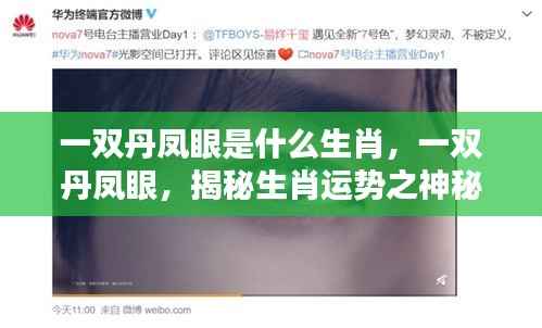 一双丹凤眼揭示生肖运势奥秘