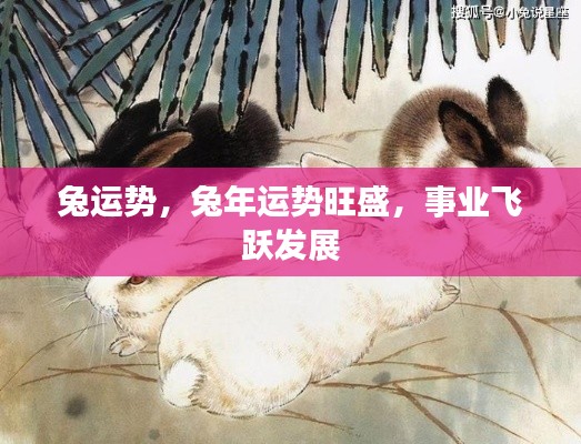兔年运势大旺,事业飞跃发展与运势旺盛的兔子们