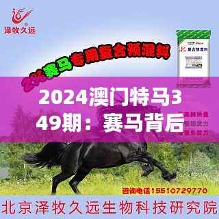 2024澳门特马349期:赛马背后的科学与艺术