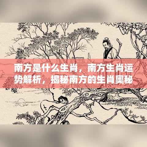 揭秘南方生肖奥秘与运势解析,探寻属于你的生肖运势特点