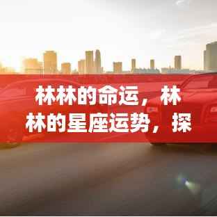 林林的命运探索,星座运势与无限可能性的探寻