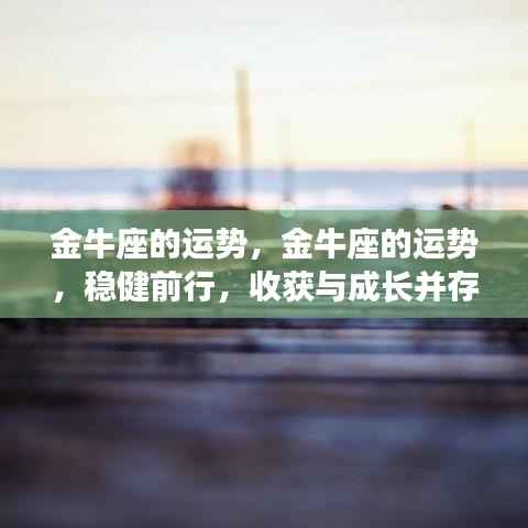 金牛运势展望,稳健前行,收获与成长双丰收