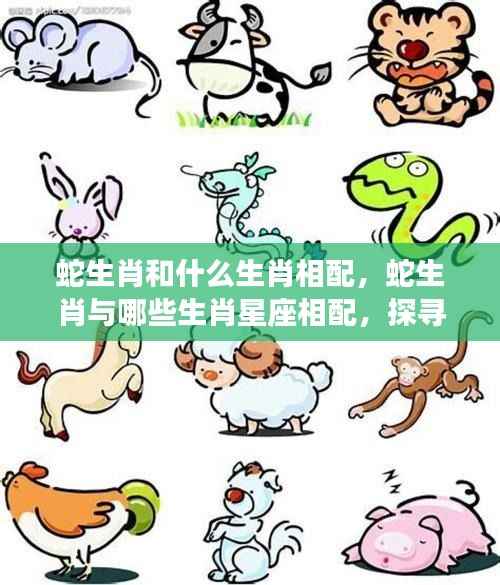 生肖蛇与星座的绝配组合,探寻生肖与星座和谐共鸣的奥秘