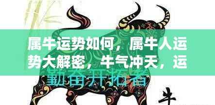 属牛人的运势大解密,如何翻转跃升,牛气冲天?