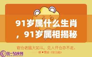 揭秘生肖运势,91岁属相揭晓与岁月流转下的生肖运势展望