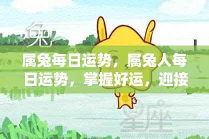 属兔人每日运势展望,把握好运,迎接美好时刻