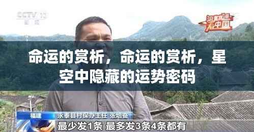 命运之谜,星空中隐藏的运势密码赏析