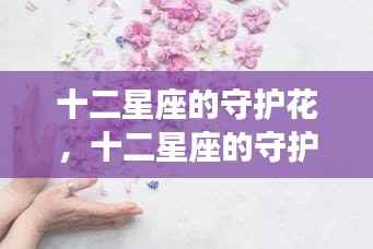 十二星座守护花,花语中的星座奥秘揭秘