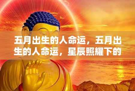 五月出生者的命运轨迹,星辰照耀下的独特人生篇章
