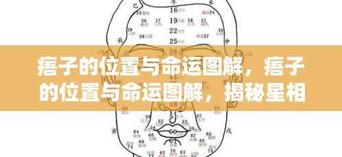 揭秘痦子的位置与命运关联,星相与面相的奥秘图解