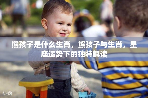 生肖与熊孩子,星座运势下的独特解读与解析