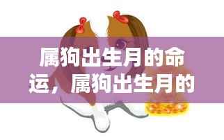 属狗出生月的命运,星辰指引下的生命轨迹