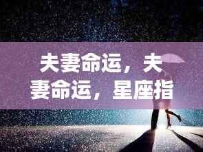 星座指引下的夫妻命运情感航程探索