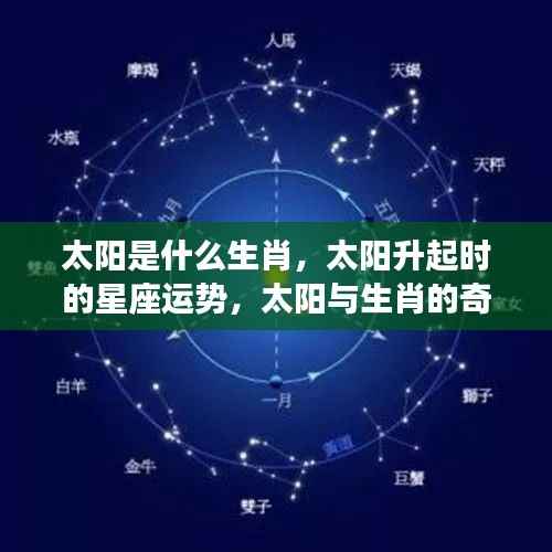 太阳生肖与星座运势揭秘,生肖与星座交汇的奇妙缘分