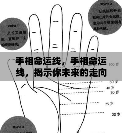 手相命运线揭秘,洞悉未来走向的奥秘线索