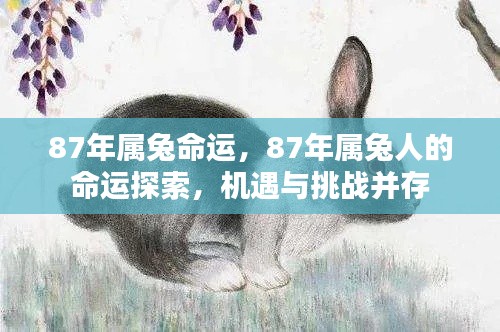 1987年属兔人的命运探索,机遇与挑战并存