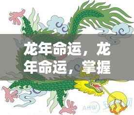 龙年运势掌握秘诀,辉煌人生从此起航!