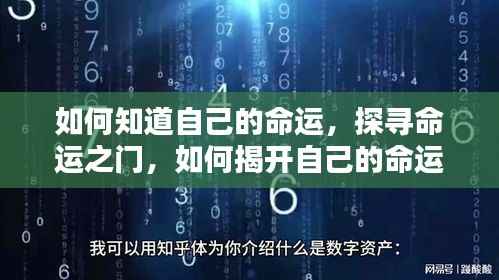 揭秘命运之门,探寻个人命运之旅的启示之道