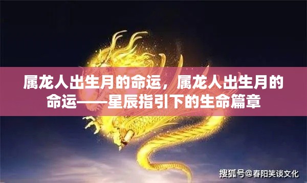 星辰指引下的命运篇章,属龙人的出生月命运解析