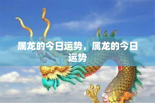 属龙今日运势详解