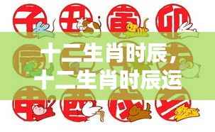 十二生肖时辰运势解析,洞悉每日运势走向