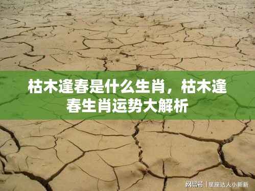 一丝不苟 第5页