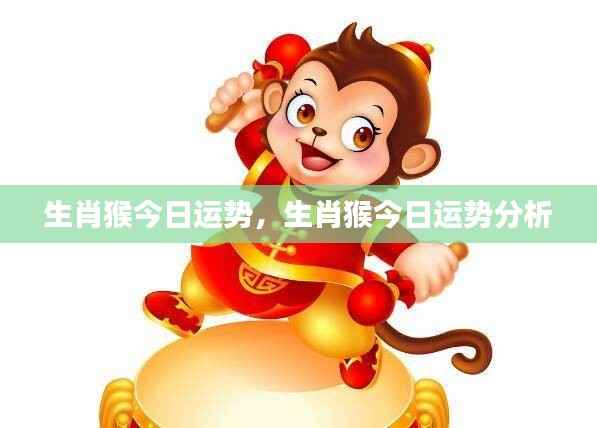 生肖猴今日运势详解与分析