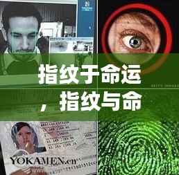 揭秘指纹与命运之间的独特联系,星相密码中的秘密解读