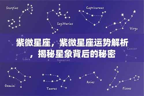紫微星座运势解析揭秘,星象背后的秘密探索