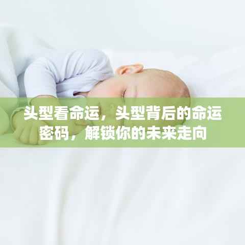 头型背后的命运密码,揭示未来走向的密码
