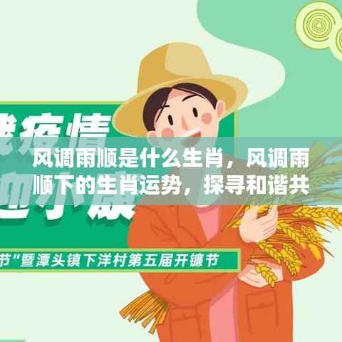 和谐共生,风调雨顺下的生肖运势与秘密探寻