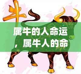 属牛人的稳健前行与命运走势,收获与成长并存。