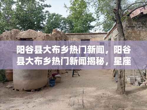 阳谷县大布乡热门新闻探秘,星座运势与乡村发展的交融