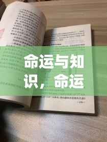 命运与知识,揭秘星座运势背后的深层逻辑探索
