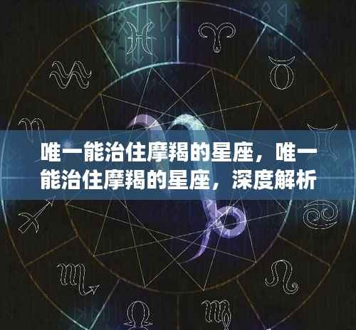 唯一能够驾驭摩羯的星座,深度解析与案例分析