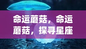 命运蘑菇,探寻星座运势中的神秘力量之源