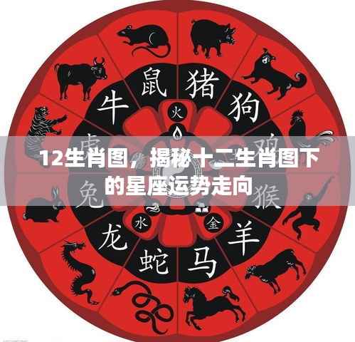 揭秘十二生肖图下的星座运势走向与未来展望