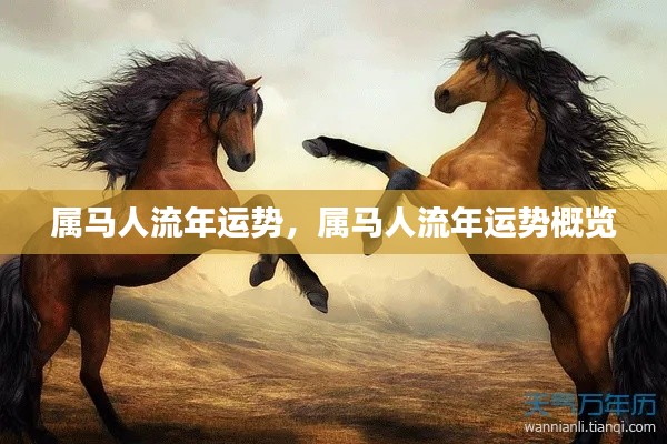 属马人流年运势概览,全面解析属马人的流年运势与命运走向