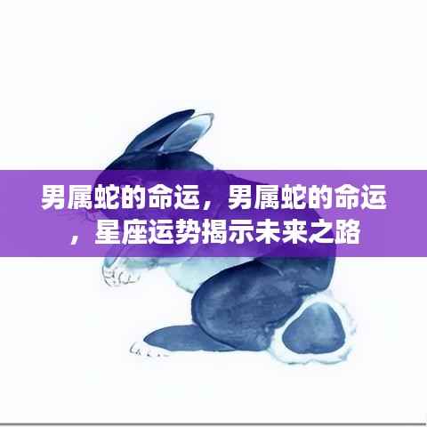 星座运势揭秘,属蛇男性的命运和未来之路探索