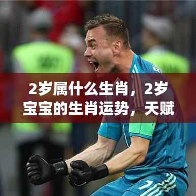 揭秘两岁宝宝生肖运势与天赋潜力,崭露头角的潜力股