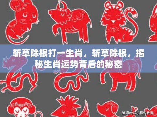 揭秘生肖运势背后的秘密,斩草除根,探寻生肖之力