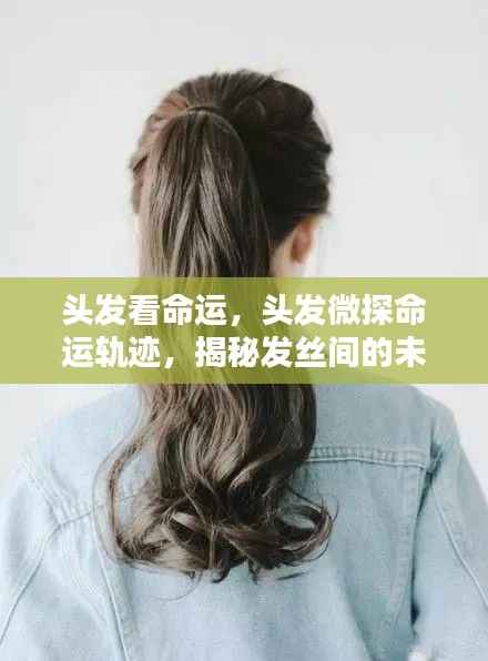 头发微探命运轨迹,揭秘发丝间的未来秘密与命运之谜