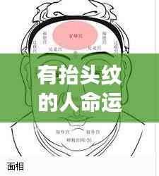 鸟惊鱼骇 第5页