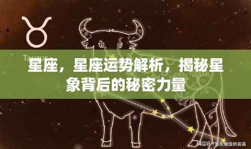 揭秘星座背后的秘密力量,星座运势解析与星象力量探索