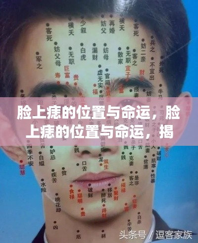 抛砖引玉 第6页