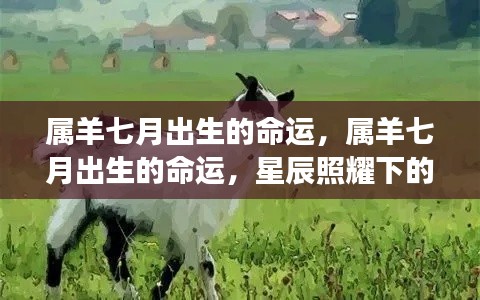 属羊七月出生的命运展望,星辰照耀下的未来之路