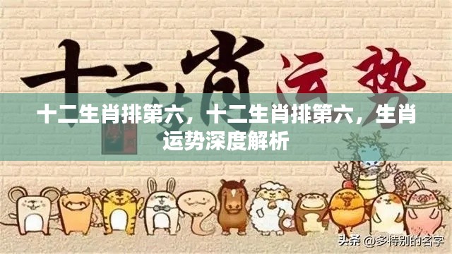 十二生肖第六位运势深度解析