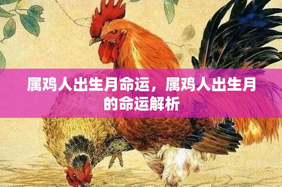 属鸡人出生月命运解析